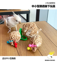 Bird head parrot foothills toy parrot rattan ball toy lollipop claw toy