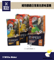 Wit magic wheel parrot daily beauty feather original dry egg grain moulting Beauty Hair egg yolk nutritional feed supplement