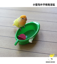 Small bird parrot bathtub leaf roller bath tub peony tiger skin bath bird head