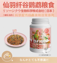 Fairy Plume Valley Peony Love Parrot African Mini Parrot Handpicked Feed Imported Bird Eating Birds as Home