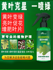 Питательная почва 【黄叶克星】植物一喷绿营养液