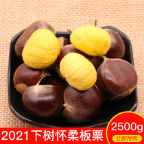 2021 New chestnut Beijing specialty Huairou chestnut 5kg 2500g chestnut fresh chestnut old tree wild oil chestnut