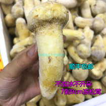 Yunnan Terrific Shangri-La Quick Frozen Pine Furry Ice Fresh Frozen Fresh Pine Mushrooms without ice (7 to 9cm)