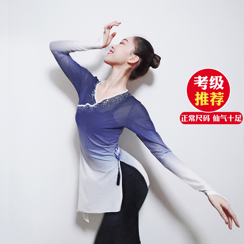 Classical practice suit set finger diamond yarn dress Ballet practice suit Adult body suit Gradient color body rhyme mesh