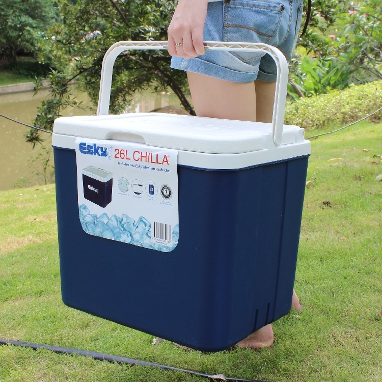 ESKY incubator 10L car refrigerator fresh-keeping box portable picnic outdoor fishing small refrigerator ice brick delivery