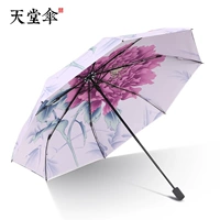 Национальный пиони-свет пурпурный