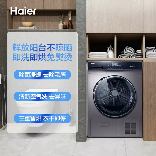 Haier Large Capacity 10kg Household Healthy Negative Ion Heat Pump Dryer Ehg100Mate3S