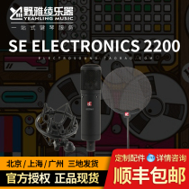 (Noya Aya)sE Electronics 2200 professional recording microphone K song anchor large vibration capacitance wheat