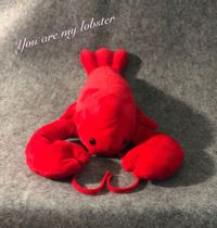 I am crazy about American dramas Friends old friends lobster pillow muppet doll