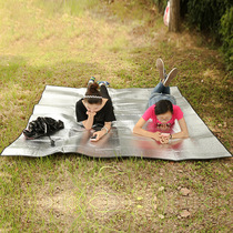 Beach moisture proof mat double-sided aluminum film tent floor mat 2*2 outdoor floor cloth thickened eva aluminum foil picnic camping crawling