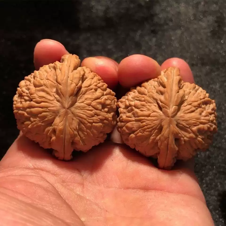 文玩核桃三角闷尖白狮子头古玩手玩老树粗筋小