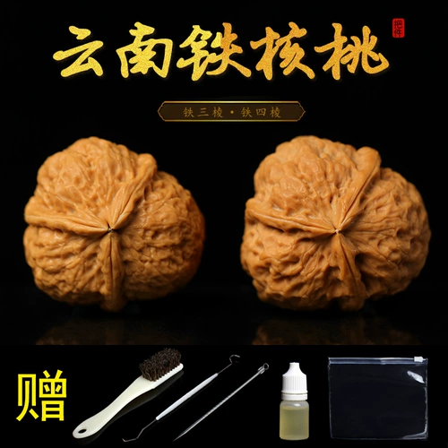 Игроки Вэньвана справляются с облако, Железный ореховый сиск