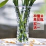 Bình thủy tinh bình phong phú tre bình hoa lily phòng khách cắm hoa sàn văn hóa nước bình lớn - Vase / Bồn hoa & Kệ lọ hoa bàn tay phật