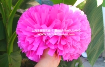 Sub-Light Peach Red Flower Jersey Cheerball Hand Flowers Competition Exam Grade Floo Courseau Courseau Courseau