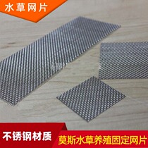 Stainless steel Moss mesh binding Moss aquatic plants Moss series Moss binding aquatic plants planting mesh