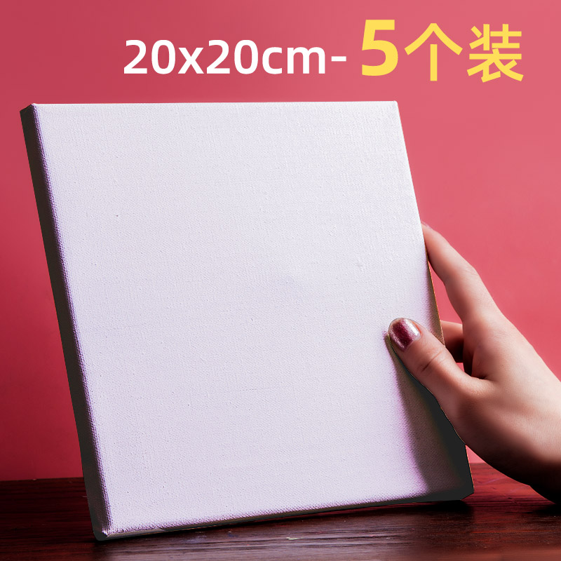 20*20cm（5个装）