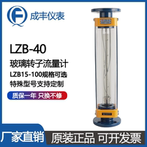 Chengfeng Instruments LZB-40 glass rotor flowmeter float flowmeter nitrogen cast iron flange