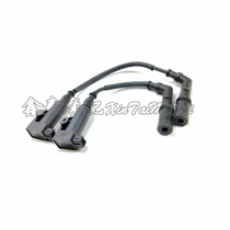 Flash 300 flash 500 high voltage package QJ300-12 front and rear high voltage package ignition coil length and short ignition coil