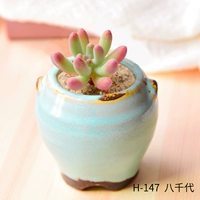 H-1 147+восемь тысяч поколений