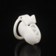 Bowknot Chastity Lock for Men, Cb Lock, Cross-Dresser Hidden Penis Lock, Breathable Birdcage Chastity Lock, Bdsm Fun