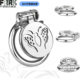 Stainless Steel Flat Chastity Lock Butterfly Pattern Cut Out Cb Lock Chastity Device Bdsm Training Convenient to Urinate and Wear When Going Out