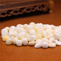 White seashell crushed pieces for Buddha Tibet 50 grams per piece