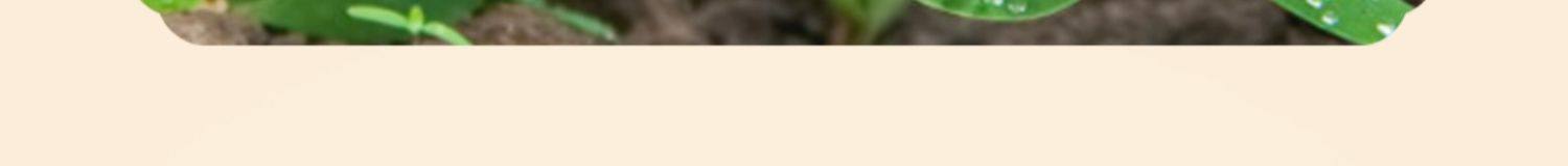 【中国直邮】如水   鱼皮花生   200g 【下酒零食NO.1】