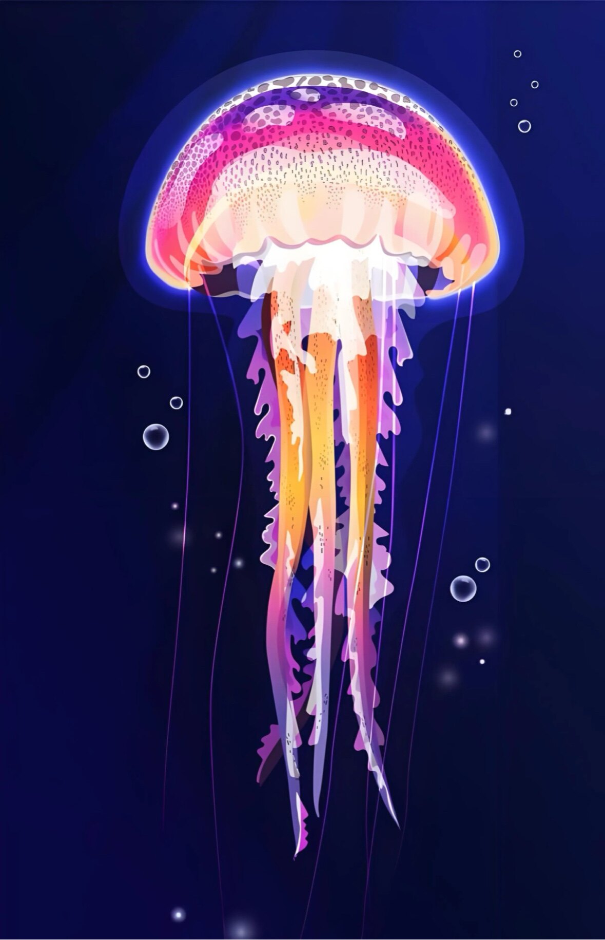 星梦水母屋