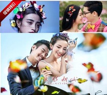 Photo studio photography props wedding location props headwear Butterfly Bar decoration hairclip simulation butterfly 7CM