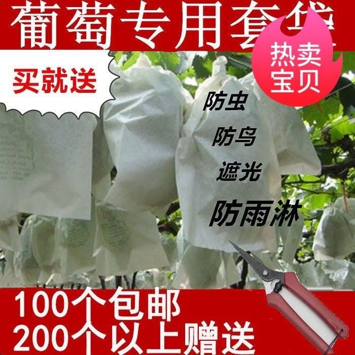 Grape bagging combined medicine grape bagging special kraft paper bag grape bagging transparent and breathable