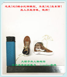 1/6 Damtoys Dam 78065 Us Navy Seal Nswdg Aor Hollow Skate Shoes in Stock