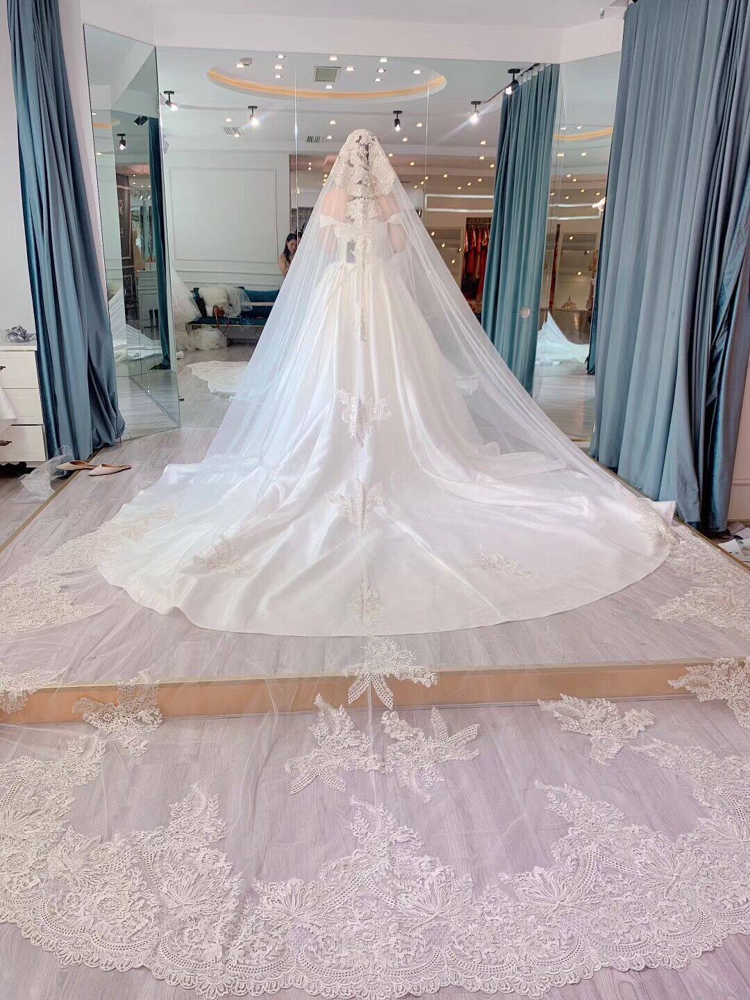 (Customized) High-end Light Champagne Bride Wedding Veil Hotel Ceremony Long Trailing Veil