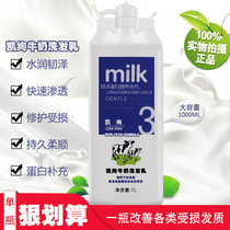 Kay Gorgeous Men Suit Shampoo Lady Hair Care Vegetarian Milk Slip 1L Wash Hair Cream Softly shower shampoo Remain