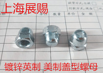 Level 2 galvanized beauty nut Inform lid type nut meadage cap shaped screw cap decorative mother 5 16 1 4 3 8