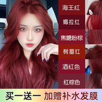 Sea King Red Hair Dye Free of Botanical Pure Raspberry Red Brown Wine Red Caramel Pink brown herself at home Dyeing Head Cream