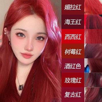 Raspberry Neptune Red Hair Dye Cream Plant-Based Pure Black Purple Merah Wine Red Caramel Pink Brown DIY Hair Dye for Women at Home