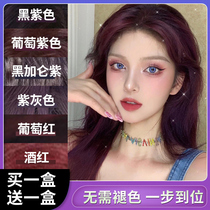 Purple Hair Dye Cream Free of black currant Purple Pop Color Plant Wine Red at home Dyed Hair Purple Red Lid White Hair