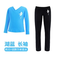 Лонгслив, штаны, V-образный вырез, свободный прямой крой