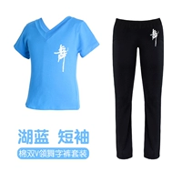 Штаны, V-образный вырез, короткий рукав, свободный прямой крой