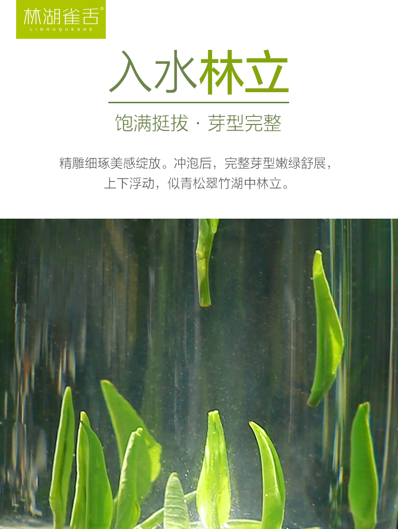 林湖茶叶 2020明前春茶 特级高山雀舌 100g*2盒 图10