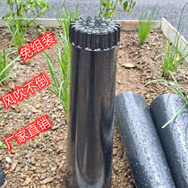 Leeks Yellow Garlic Yellow Shade Planted with black hood Sub-shading cylinder PVC softening cover shading cylinder exempted from assembly