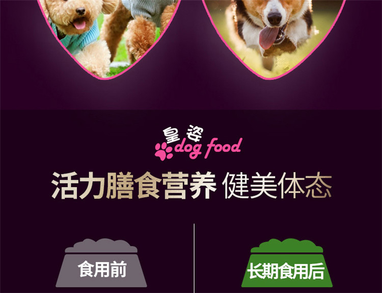 Authentic Kings dog dog dog food food Teddy VIP Jin Mao than Xiong Bomei mục đích chung chó nhỏ chó con thức ăn 5 kg - Chó Staples royal canin cho chó con