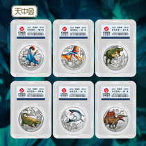 Tianzhong Gold luminous dinosaur series Pterodactyl sickle dragon T-rex commemorative coin luminous foreign currency rating with gift box