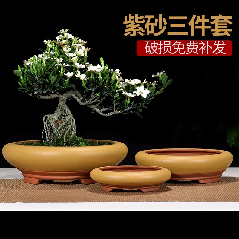 宜興紫砂鉢 多肉盆栽鉢 大盆栽 小盆栽 紫砂の鉢 盆栽鉢 植木鉢