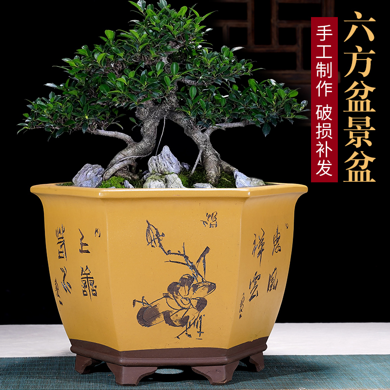 宜興 紫砂花盆栽 多肉植物盆 景盆 菖蒲盆 紫砂花盆多肉植物菖蒲盆栽矮种兰花盆景盆花卉绿植简约园艺陶瓷盆