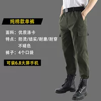 【581】 1 платье из зеленых брюк