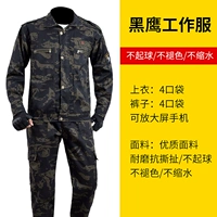 Комплект, ремень, черный орел