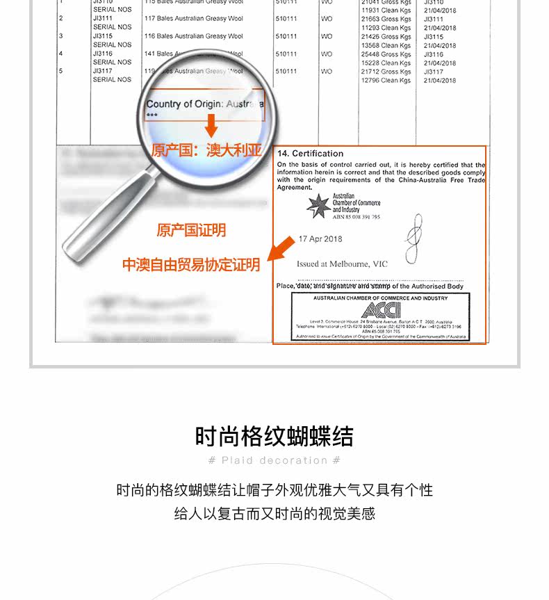 Chapeau pour femme      en Poilue - Ref 3233390 Image 10