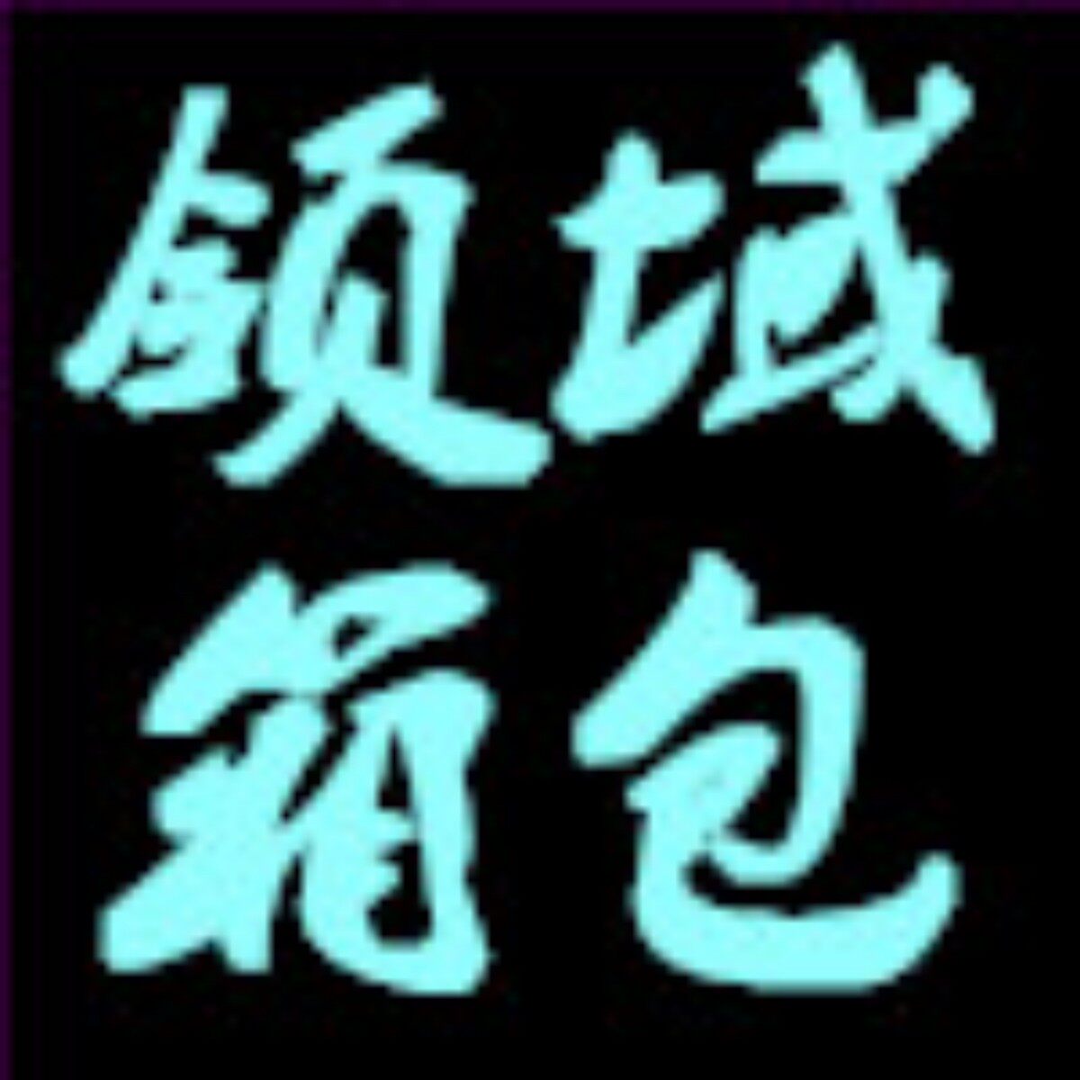 领域箱包