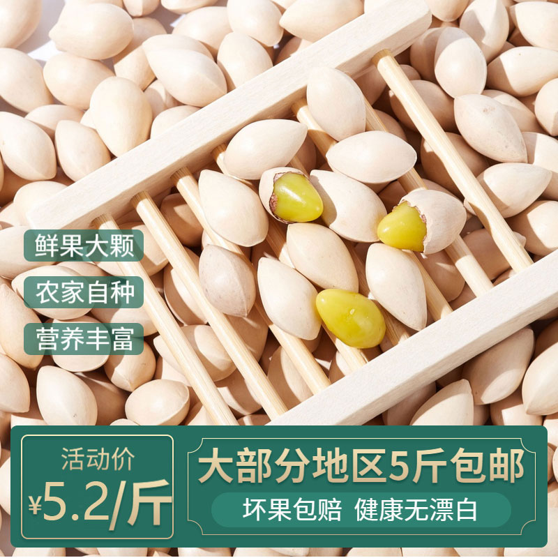 Fresh special class large grain with shell white fruits gingko without bleached Taeching dry goods Baise 500g